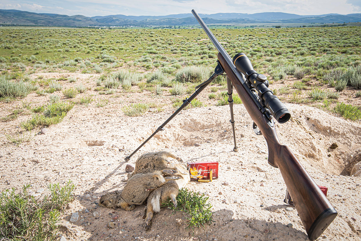 While in Wyoming, the Kimber accounted for many piles of prairie dogs taken with a mix of handloads and factory ammunition.